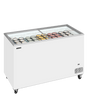 IC401SC