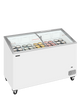 IC401SCEB