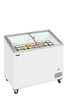 IC301SCEB